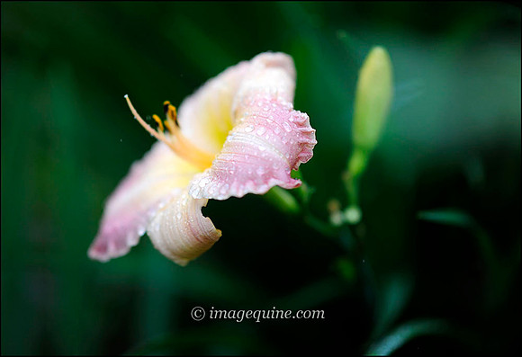 WKC21-0127