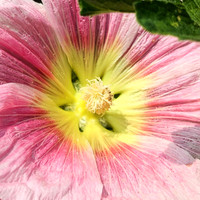 455738069_10226342229037179_3127934361286548738_n